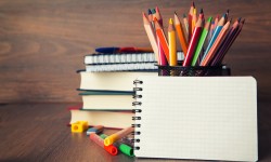 In pede mi, aliquet sit amet, euismod in,auctor ut, ligula