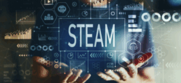 STEAM High School: Endorsed CTE Program Concentrations (Majors & Minors)